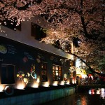 春の高瀬川　：京都四条